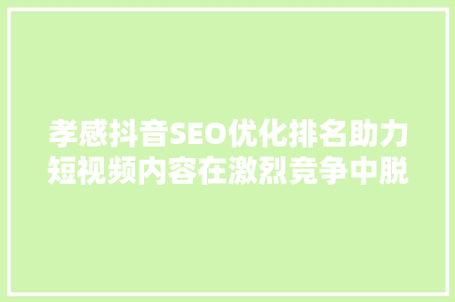 孝感抖音SEO优化排名助力短视频内容在激烈竞争中脱颖而出