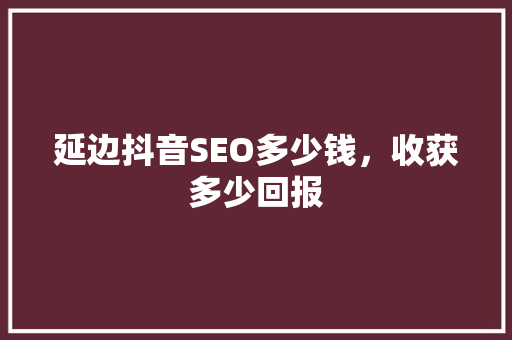 延边抖音SEO多少钱，收获多少回报