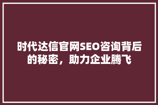 时代达信官网SEO咨询背后的秘密，助力企业腾飞