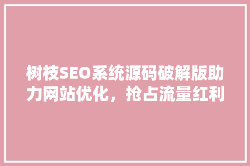 树枝SEO系统源码破解版助力网站优化，抢占流量红利