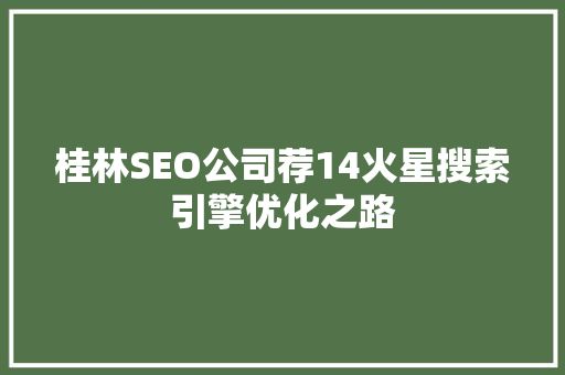 桂林SEO公司荐14火星搜索引擎优化之路