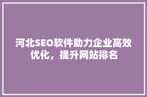 河北SEO软件助力企业高效优化，提升网站排名