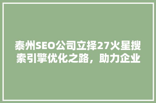泰州SEO公司立择27火星搜索引擎优化之路，助力企业腾飞