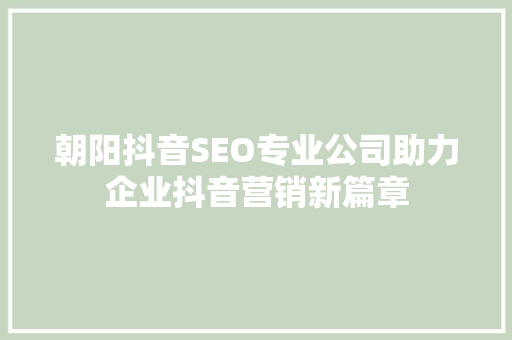 朝阳抖音SEO专业公司助力企业抖音营销新篇章