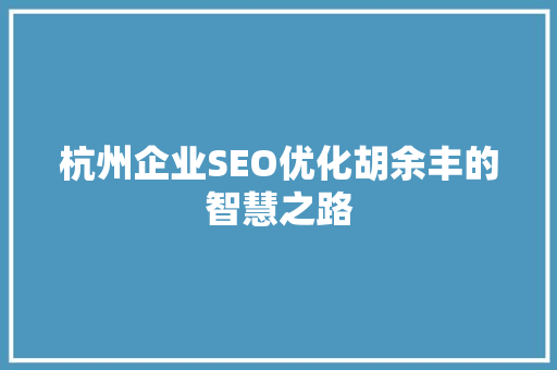 杭州企业SEO优化胡余丰的智慧之路