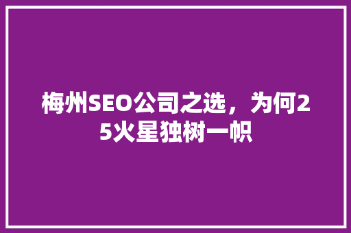 梅州SEO公司之选，为何25火星独树一帜
