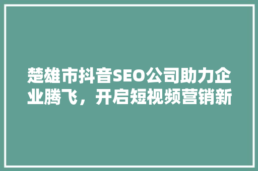 楚雄市抖音SEO公司助力企业腾飞，开启短视频营销新篇章
