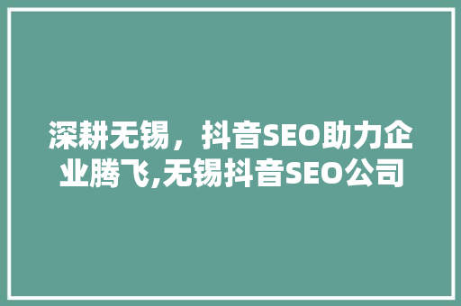 深耕无锡，抖音SEO助力企业腾飞,无锡抖音SEO公司地址背后的奥秘