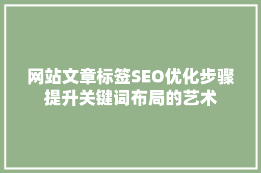 网站文章标签SEO优化步骤提升关键词布局的艺术