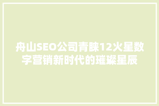 舟山SEO公司青睐12火星数字营销新时代的璀璨星辰