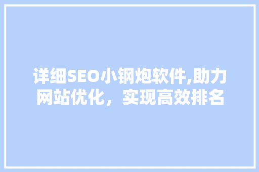 详细SEO小钢炮软件,助力网站优化，实现高效排名