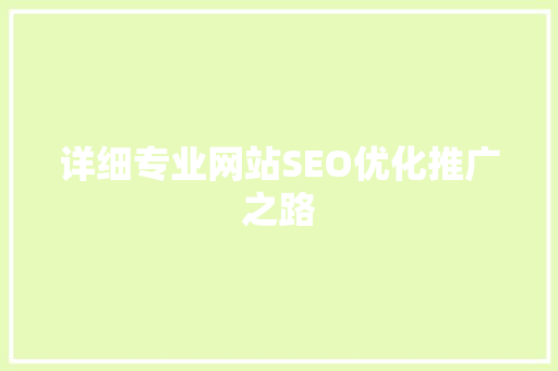 详细专业网站SEO优化推广之路