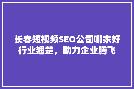 长春短视频SEO公司哪家好行业翘楚，助力企业腾飞