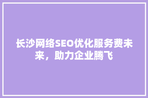 长沙网络SEO优化服务费未来，助力企业腾飞