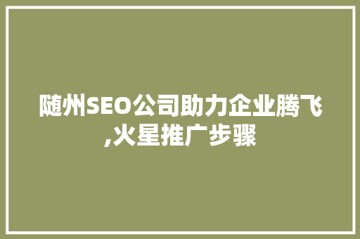 随州SEO公司助力企业腾飞,火星推广步骤