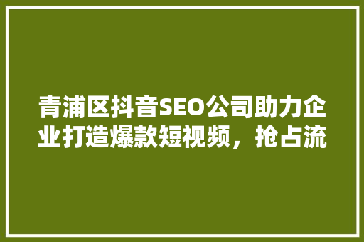 青浦区抖音SEO公司助力企业打造爆款短视频，抢占流量高地