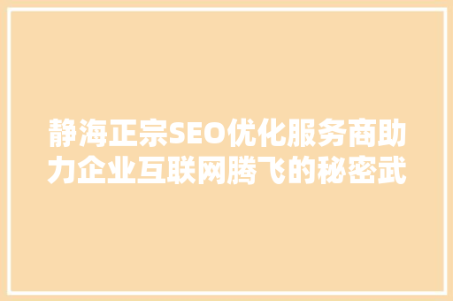静海正宗SEO优化服务商助力企业互联网腾飞的秘密武器