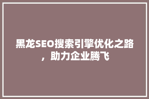 黑龙SEO搜索引擎优化之路，助力企业腾飞