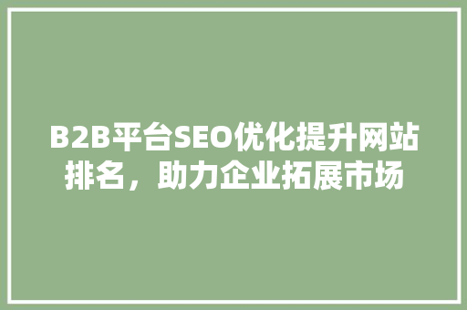 B2B平台SEO优化提升网站排名，助力企业拓展市场