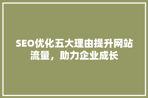 SEO优化五大理由提升网站流量，助力企业成长
