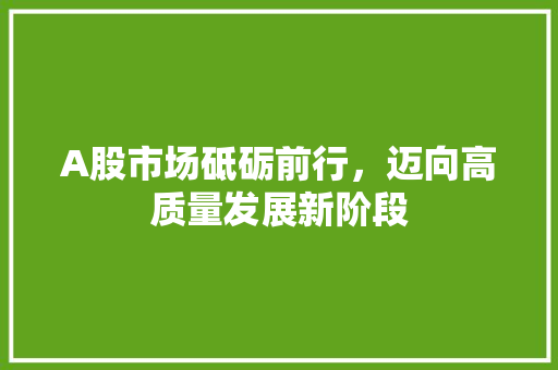 A股市场砥砺前行，迈向高质量发展新阶段