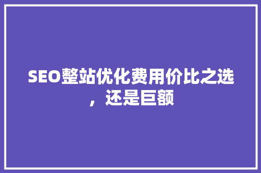 SEO整站优化费用价比之选，还是巨额