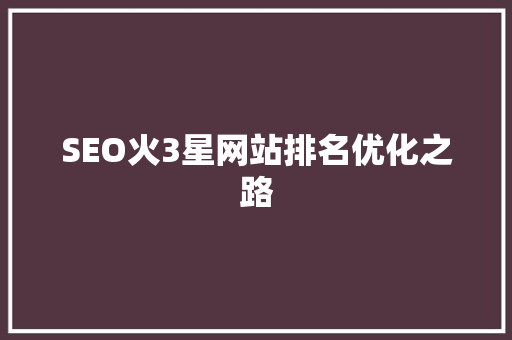 SEO火3星网站排名优化之路