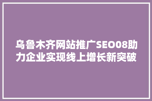 乌鲁木齐网站推广SEO08助力企业实现线上增长新突破