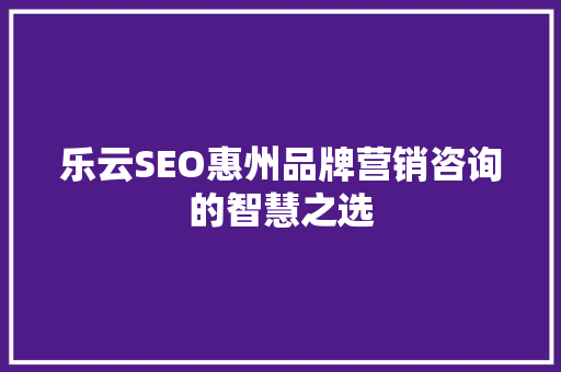 乐云SEO惠州品牌营销咨询的智慧之选