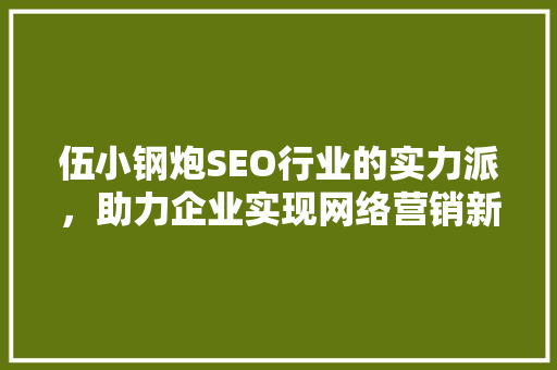 伍小钢炮SEO行业的实力派，助力企业实现网络营销新突破