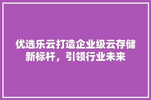 优选乐云打造企业级云存储新标杆，引领行业未来