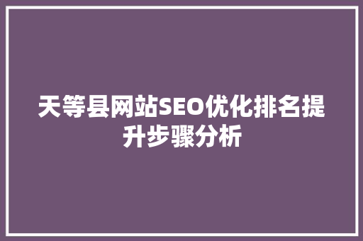 天等县网站SEO优化排名提升步骤分析
