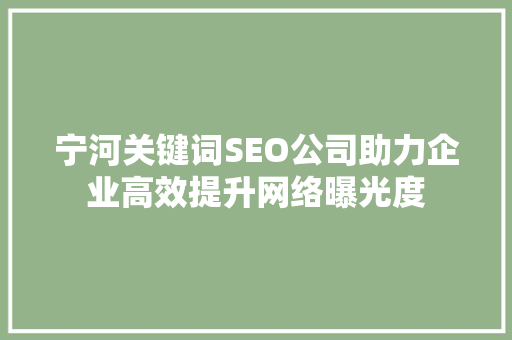 宁河关键词SEO公司助力企业高效提升网络曝光度