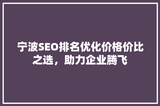 宁波SEO排名优化价格价比之选，助力企业腾飞