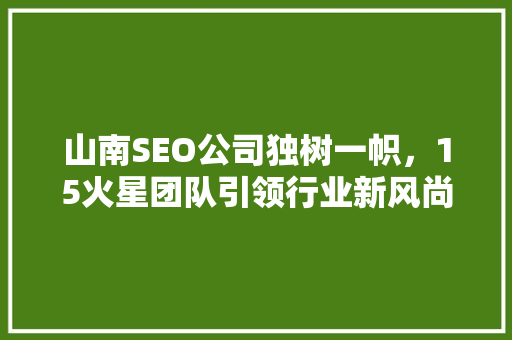 山南SEO公司独树一帜，15火星团队引领行业新风尚