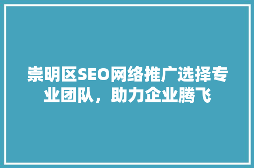 崇明区SEO网络推广选择专业团队，助力企业腾飞