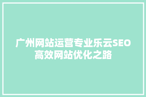 广州网站运营专业乐云SEO高效网站优化之路