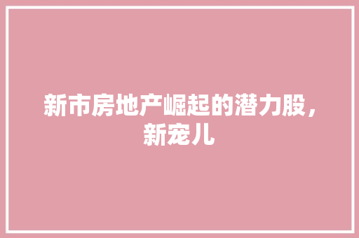 新市房地产崛起的潜力股，新宠儿