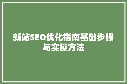 新站SEO优化指南基础步骤与实操方法