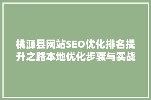 桃源县网站SEO优化排名提升之路本地优化步骤与实战方法