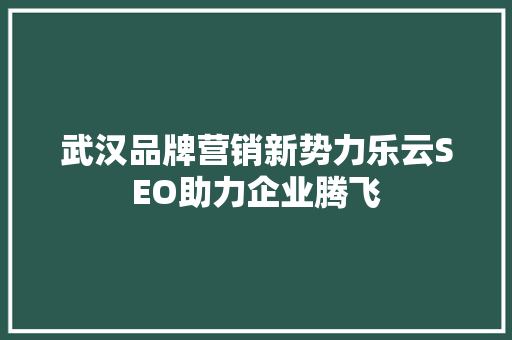 武汉品牌营销新势力乐云SEO助力企业腾飞  第1张