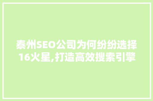 泰州SEO公司为何纷纷选择16火星,打造高效搜索引擎优化之路