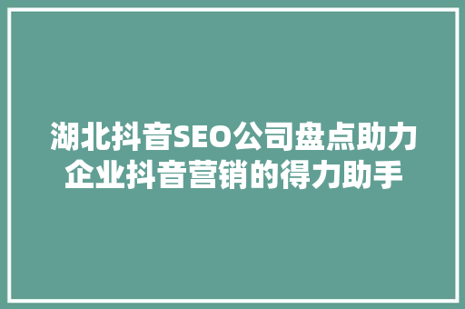 湖北抖音SEO公司盘点助力企业抖音营销的得力助手