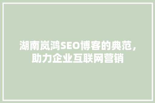 湖南岚鸿SEO博客的典范，助力企业互联网营销