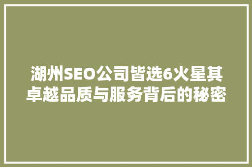 湖州SEO公司皆选6火星其卓越品质与服务背后的秘密