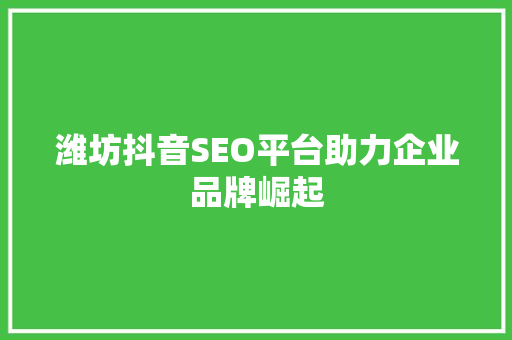 潍坊抖音SEO平台助力企业品牌崛起