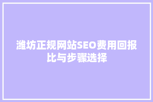 潍坊正规网站SEO费用回报比与步骤选择