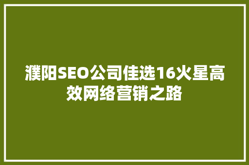 濮阳SEO公司佳选16火星高效网络营销之路