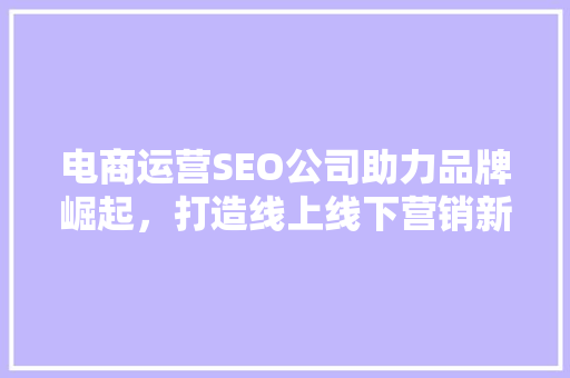 电商运营SEO公司助力品牌崛起，打造线上线下营销新格局