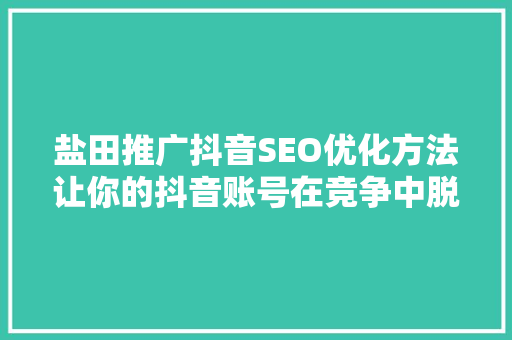 盐田推广抖音SEO优化方法让你的抖音账号在竞争中脱颖而出